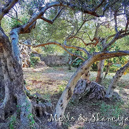 Merlo & Skancija