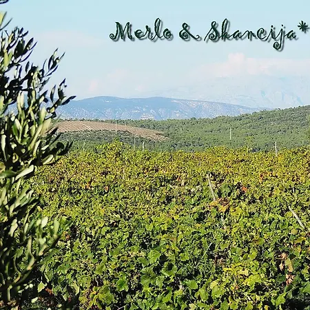 Apartment Merlo & Skancija Dol (Hvar)