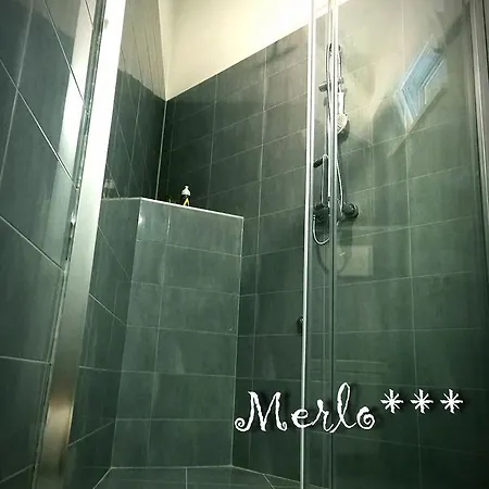 Merlo & Skancija Apartment